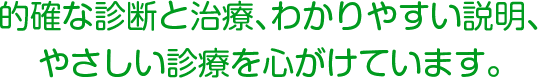 的確な診断と治療、わかりやすい説明、やさしい診療を心がけています。